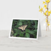 裏庭の蝶 カード (黄色い花)