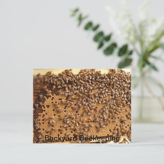 裏庭の養蜂 ポストカード (スタンド正面)