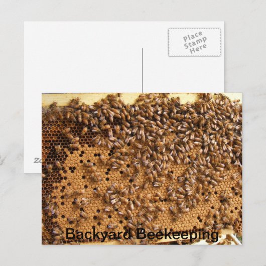 裏庭の養蜂 ポストカード (正面/裏面)