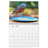 裏庭の鳥のカレンダー カレンダー (3月 2027)