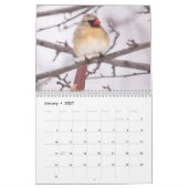 裏庭の鳥の写真とアート カレンダー (1月 2027)