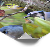 裏庭の鳥ポスター ポスター (角)