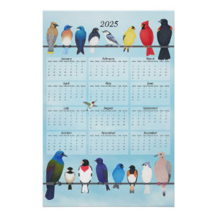 裏庭の鳥2025壁カレンダー ポスター