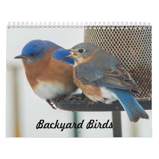 裏庭の鳥 カレンダー (カバー)