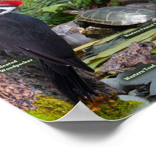 裏庭のWIldlife of the West ポスター (角)