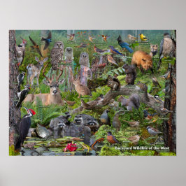 裏庭のWIldlife of the West ポスター