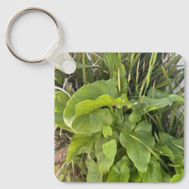 裏庭ガーデンクローズアップ屋外自然写真 キーホルダー