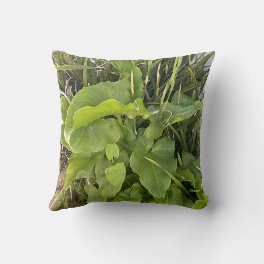 裏庭ガーデンクローズアップ屋外自然写真 クッション (裏面)