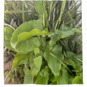 裏庭ガーデンクローズアップ屋外自然写真 シャワーカーテン (正面)