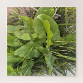 裏庭ガーデンクローズアップ屋外自然写真 ジグソーパズル (横)