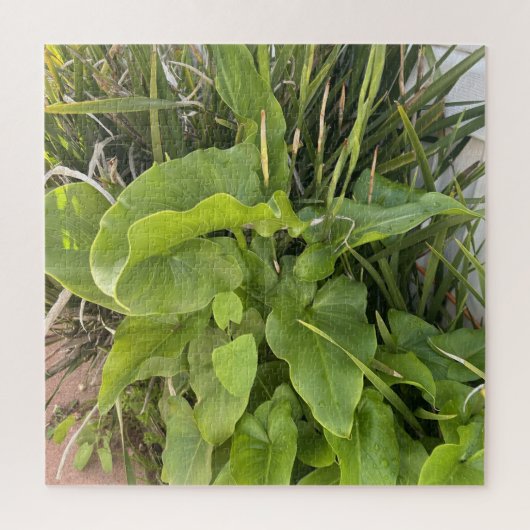 裏庭ガーデンクローズアップ屋外自然写真 ジグソーパズル (縦)