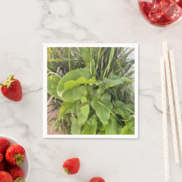 裏庭ガーデンクローズアップ屋外自然写真 スタンダードカクテルナプキン