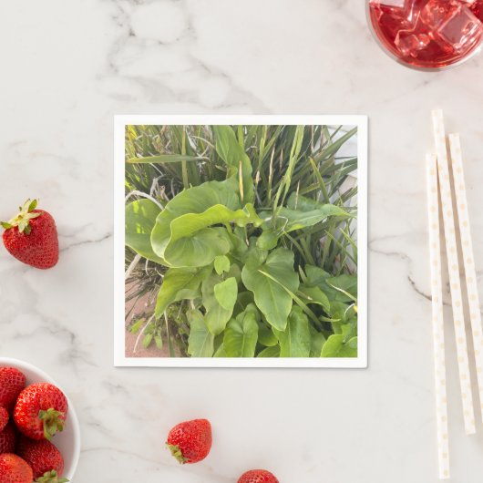 裏庭ガーデンクローズアップ屋外自然写真 スタンダードカクテルナプキン (インサイチュ)