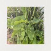 裏庭ガーデンクローズアップ屋外自然写真 タペストリー (正面)