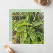 裏庭ガーデンクローズアップ屋外自然写真 ノートカード (正面/裏面インサイチュ)