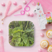 裏庭ガーデンクローズアップ屋外自然写真 ペーパープレート (パーティー)