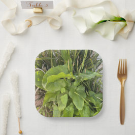 裏庭ガーデンクローズアップ屋外自然写真 ペーパープレート