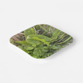 裏庭ガーデンクローズアップ屋外自然写真 ペーパープレート (傾斜あり)