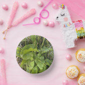 裏庭ガーデンクローズアップ屋外自然写真 ペーパーボウル (パーティー)