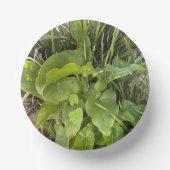 裏庭ガーデンクローズアップ屋外自然写真 ペーパーボウル (正面)