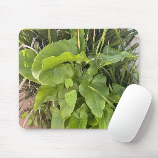 裏庭ガーデンクローズアップ屋外自然写真 マウスパッド (マウス)