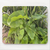 裏庭ガーデンクローズアップ屋外自然写真 マウスパッド (正面)