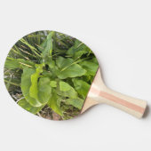 裏庭ガーデンクローズアップ屋外自然写真 卓球ラケット (横)