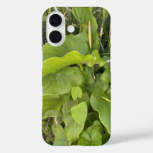 裏庭ガーデンクローズアップ屋外自然写真