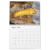 裏庭シリーズ幼虫のカレンダー カレンダー (2月 2027)
