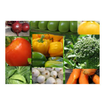 裏庭ベジタブルガーデン