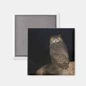 裏庭素晴らし角フクロウ マグネット (正面/裏面)