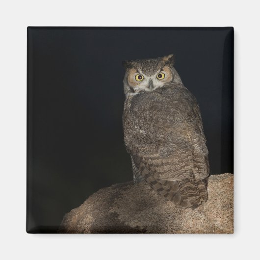 裏庭素晴らし角フクロウ マグネット (正面)