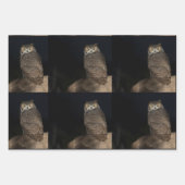 裏庭素晴らし角フクロウ ラッピングペーパーシート (正面2)