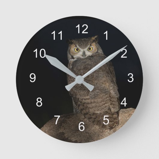裏庭角素晴らしフクロウ ラウンド壁時計 (正面)