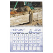 裏庭訪問者 カレンダー (2月 2026)