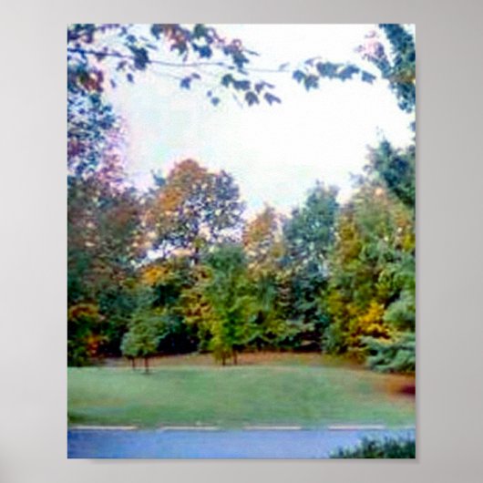 裏庭 ポスター (正面)