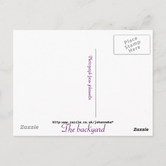 裏庭 ポストカード (裏面)