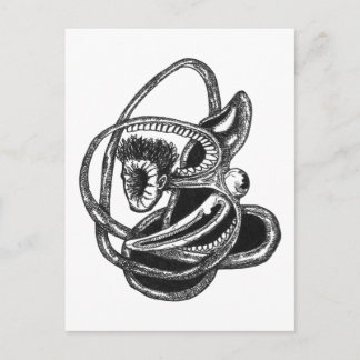 裏返し ポストカード