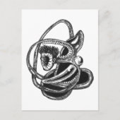 裏返し ポストカード (正面)