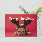 裏面にグリーティングが付いたモダンなホリデーカード(写真入り) シーズンカード (スタンド正面)