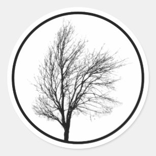 裸の木のシルエットのステッカー ラウンドシール