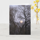 裸の木の写真の満月 カード (黄色い花)