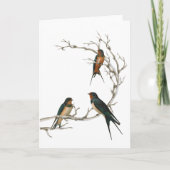 裸の枝に鳥をツバメ カード (正面)
