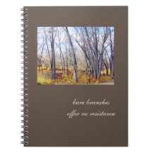 裸の枝、抵抗ジャーナル無し