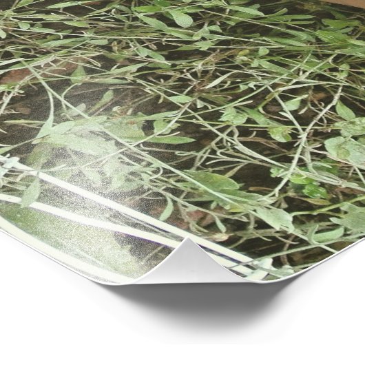 裸の足 フォトプリント            (角)