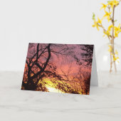 裸木カラフルの間の夕日 カード (黄色い花)