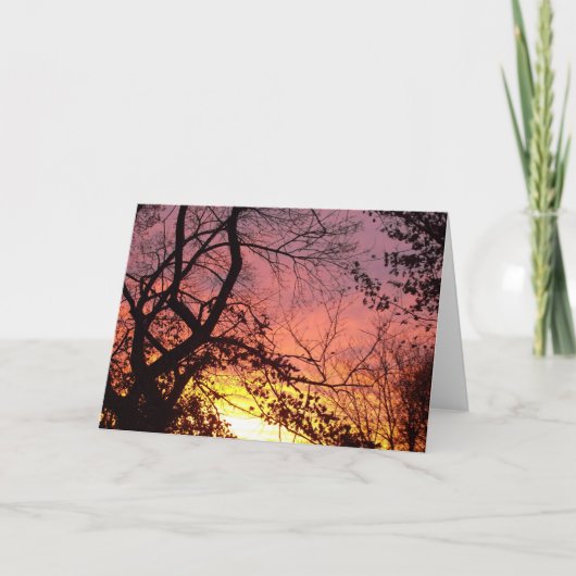 裸木カラフルの間の夕日 カード (正面)