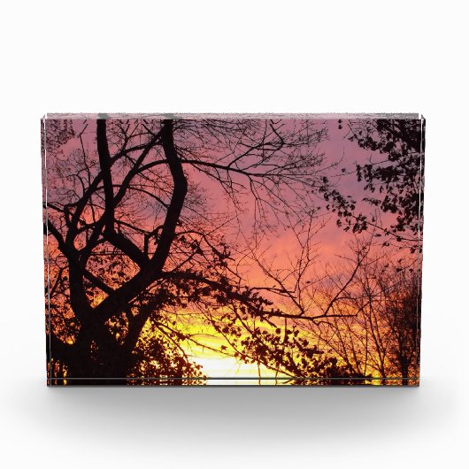 裸木カラフルの間の夕日 フォトブロック (正面)