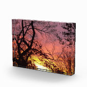 裸木カラフルの間の夕日 フォトブロック (右)