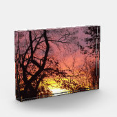 裸木カラフルの間の夕日 フォトブロック (左)